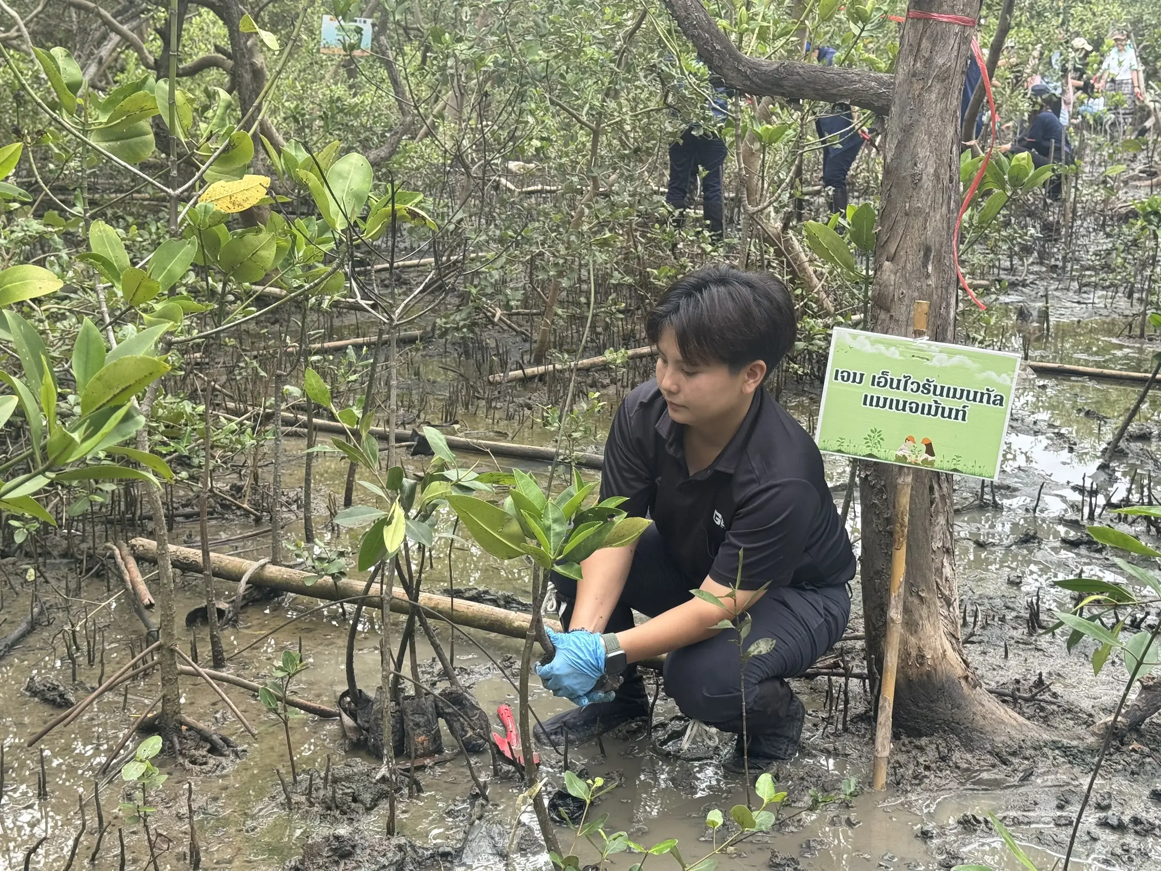 GEM Joins Fish Release and Mangrove Planting Activity